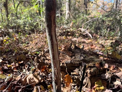 00 Day Dr, Hamptonville, NC 27020 - photo 7