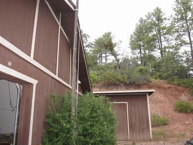 6794 W Hardscrabble Mesa Rd, Pine, AZ 85544 - photo 4
