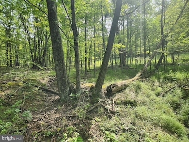 Off Thomas Rd, Alum Bank, PA 15521 - photo 5