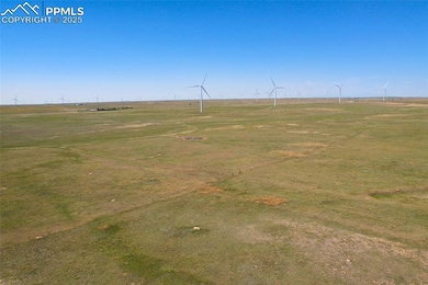 13150 Nixon Point, Calhan, CO 80808 - photo 4