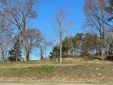 3036 Veterans Blvd Middle Creek Rd, Pigeon Forge, TN 37863 - photo 5