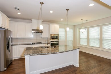 3025 Damsel Sauvage Ln, Lewisville, TX 75056 - photo 5