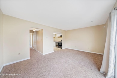 4411 La Salle Ave, Louisville, KY 40215 - photo 4