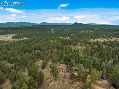 4665 W Highway 24, Florissant, CO 80816 - photo 3