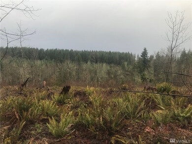 0 Kinsman Ct E unit 1395445, Roy, WA 98580 - photo 3