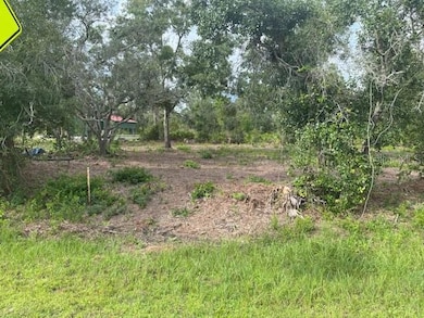 33410 Washington Loop Rd, Punta Gorda, FL 33982 - photo 3