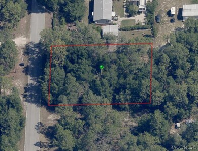 1050 E Whistler Ct, Hernando, FL 34442 - photo 7