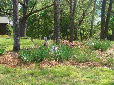 470 Cheohee Valley Rd, Tamassee, SC 29686 - photo 5