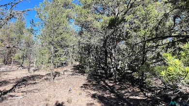 TBD Paradise Loop, Quemado, NM 87829 - photo 4