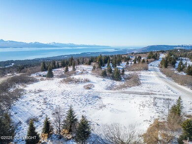 L2 Hutler Rd, Fritz Creek, AK 99603 - photo 7