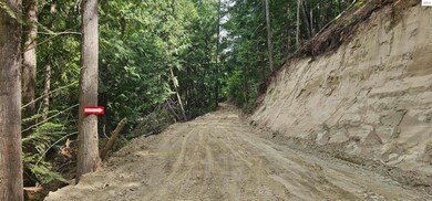 NNA Juniper Lane 20 Acres, Naples, ID 83847 - photo 5