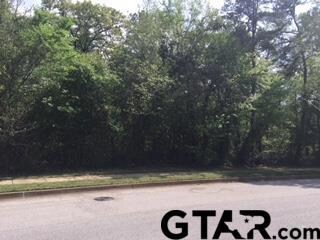 4025 Charleston Park, Tyler, TX 75701 - photo 4