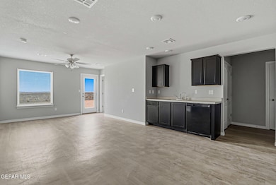 14376 Star Cactus Ave, Horizon City, TX 79928 - photo 3