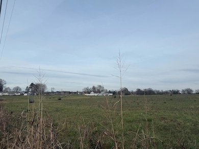 000 Red Springs Rd, Mountain Grove, MO 65711 - photo 5