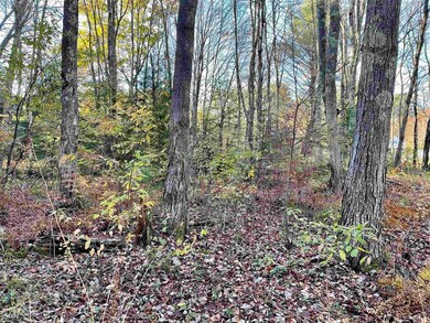 0 Emerald unit Map 16 Lot 169, Hillsborough, NH 03244 - photo 5