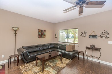 Chambers-5549