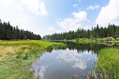 58127 Gannet Ln unit 16, Sunriver, OR 97707 - photo 3