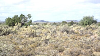 4620 S First Ave, Valle, AZ 86046 - photo 2