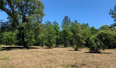 TBD J Scott Dr unit Lot 78, Pineville, LA 71360 - photo 3