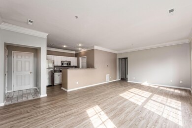 Open Floorplan