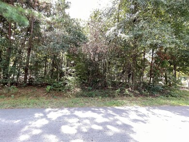 0 County Road 373 unit 48237845, Splendora, TX 77372 - photo 2