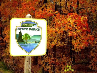 6 Jones Creek Rd, Dickson, TN 37055 - photo 4