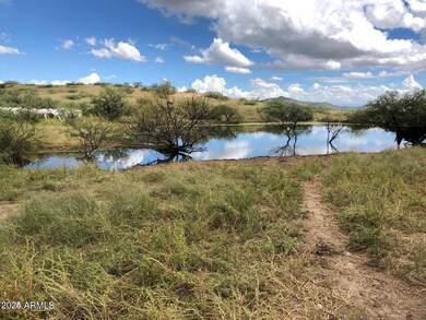 Collection pond