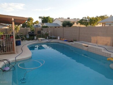 Sparkling Diving Pool