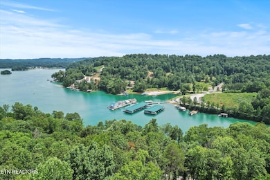 711 Jim Lee Ridge Rd, La Follette, TN 37766 - photo 6