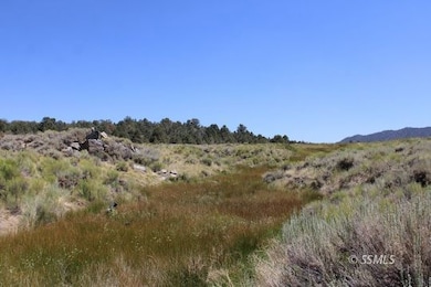 0 Kennedy Meadows Rd unit 2607468, Unincorporated, CA 93527 - photo 5