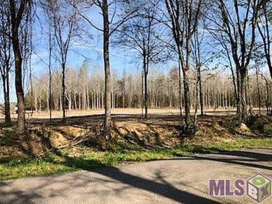 1711 Midway Rd, Slaughter, LA 70777 - photo 4