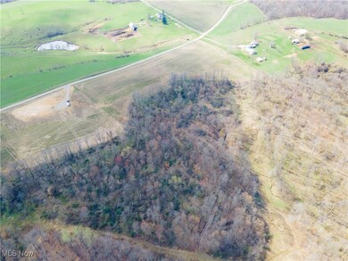 0 Norfield unit 5173946, New Concord, OH 43762 - photo 6