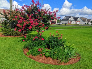 2661 Barefoot Ln, Winterville, NC 28590 - photo 3