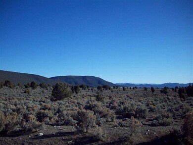 4.8 Acre Lot