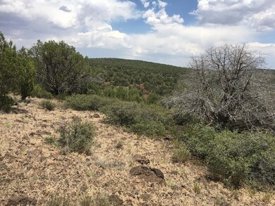 5322 N Kit Fox Trail unit 235, Kingman, AZ 86401 - photo 7