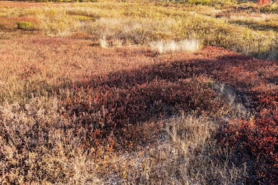 Lot #15 Razorville Rd, Washington, ME 04574 - photo 6