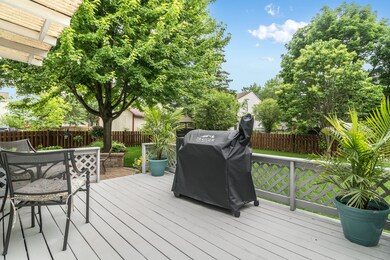 2156 Countryside Cir unit 3B, Naperville, IL 60565 - photo 6