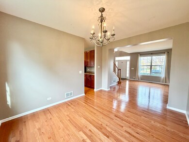 138 Redmond Dr, Gilberts, IL 60136 - photo 7