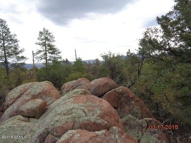 trees & boulders.JPG