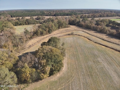 0 Linwood unit 4132080, Benton, MS 39039 - photo 5