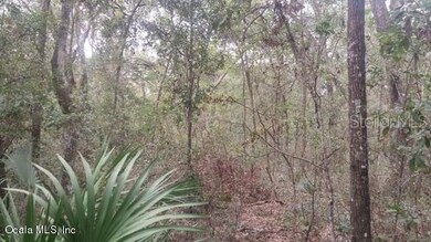 241 Indian Lakes Rd, Florahome, FL 32140 - photo 2