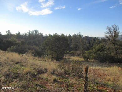 Photo 06