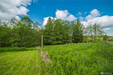 21496 Starbird Rd, Mount Vernon, WA 98274 - photo 4
