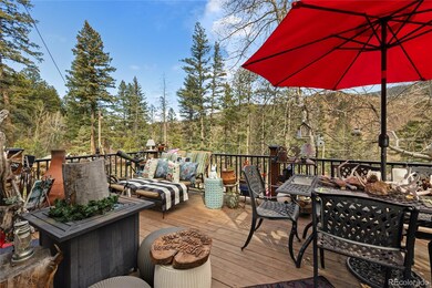 10155 Mountain Rd, Cascade, CO 80809 - photo 4