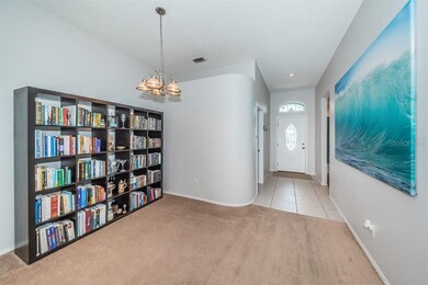 355 Tavernier Dr, Oldsmar, FL 34677 - photo 5