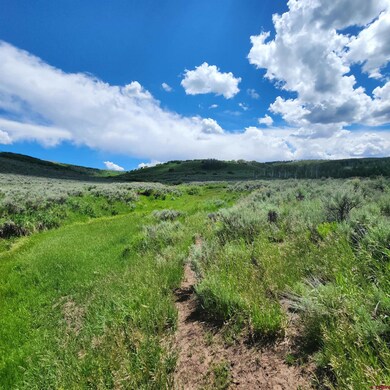 TBD Z Rd S, Whitewater, CO 81527 - photo 4