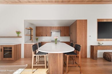 120 Turtle Cove, Aspen, CO 81611 - photo 4