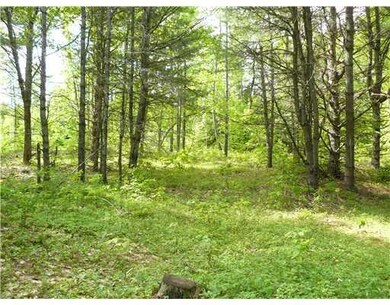Land/Lot. Where the camp was