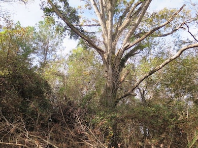 County Hwy 34 unit LotWP001, Waynesboro, MS 39367 - photo 6