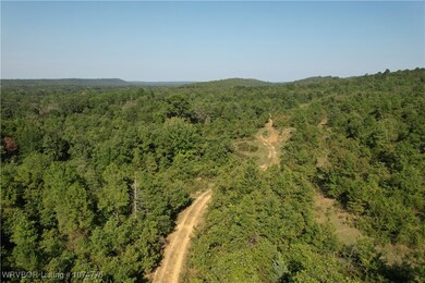 5965 Cox Valley Rd, Magazine, AR 72943 - photo 7